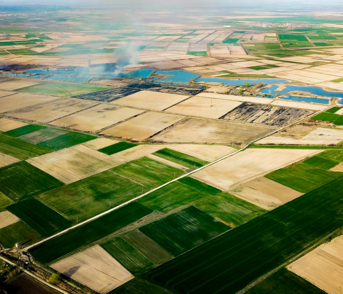 春节高速免费是什么时间提前上去/春节高速免费什么时候开始?