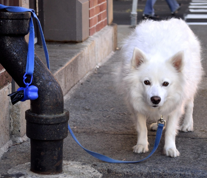 房卡必备教程“微信链接金花房卡哪里买”轻松获取房卡全渠道 房卡必备教程“微信链接金花房卡哪里买”轻松获取房卡全渠道