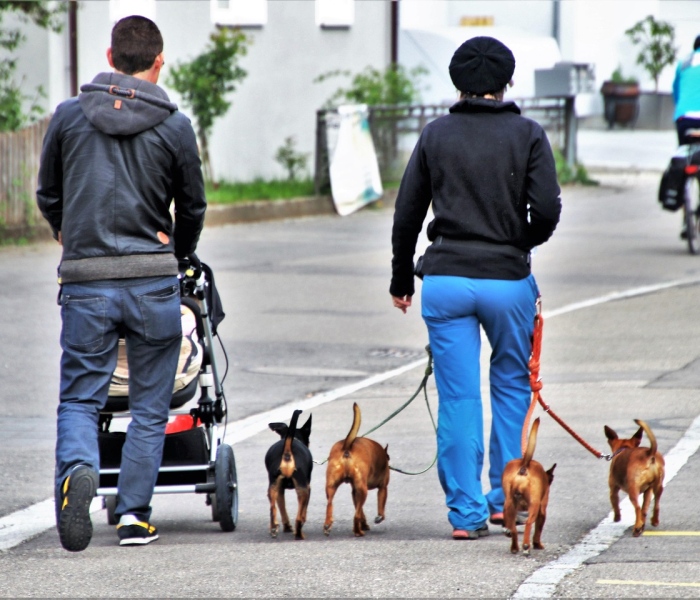 北京病例最新情况:北京病例最新情况通报