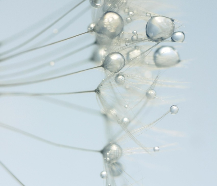 核酸采样点具备什么条件（核酸采样点具备什么条件呢）