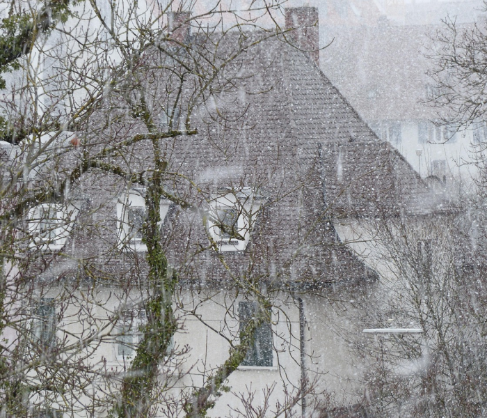 【石家庄为什么出现这么多疫情/石家庄为何出现疫情】 【石家庄为什么出现这么多疫情/石家庄为何出现疫情】