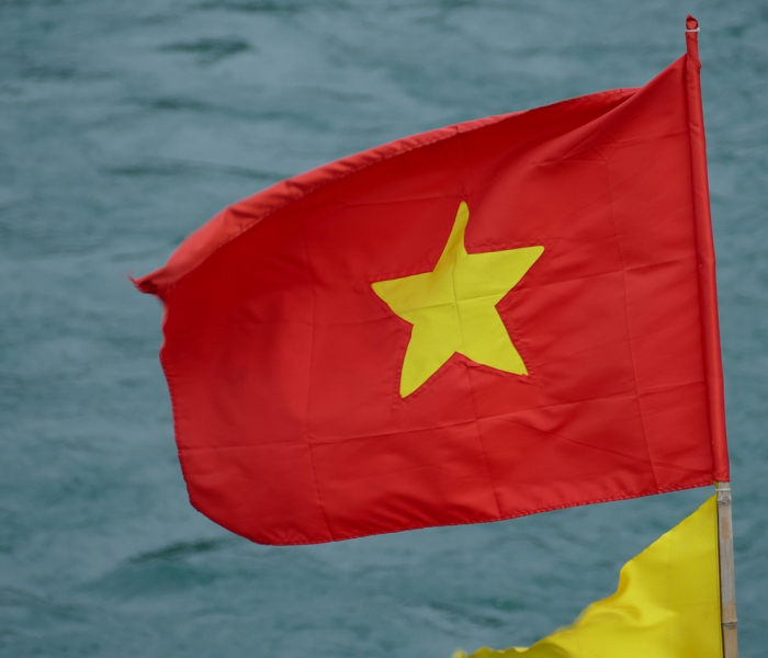 中国新冠役苗最新情况/中国新冠役苗的最新消息