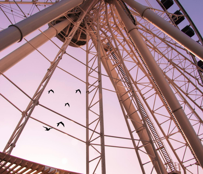 科兴为何比北京生物低/科兴为什么比北京生物好