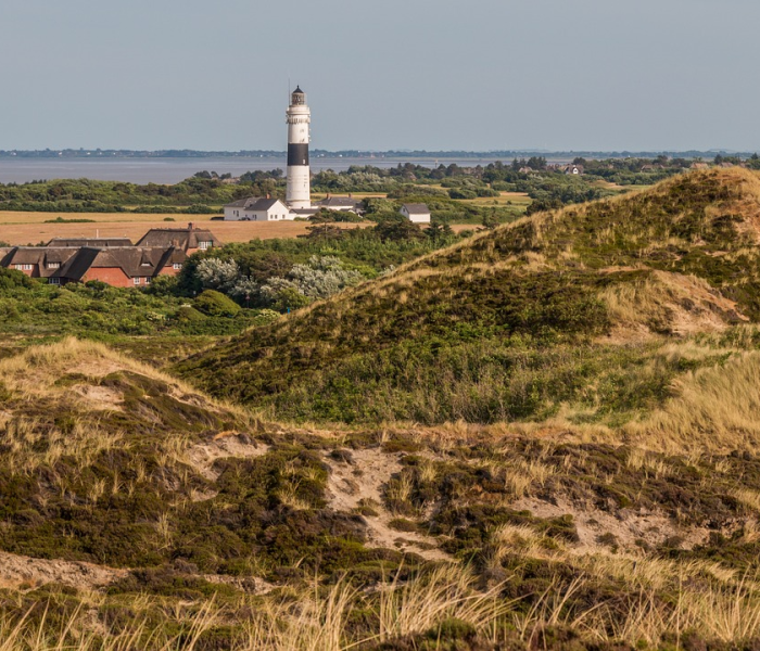 汝阳疫情最新公布消息/汝阳疫情最新公布