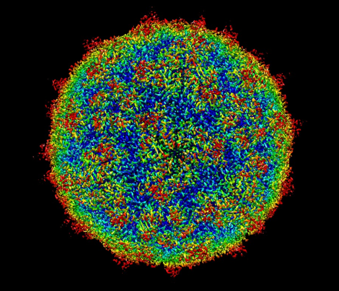 【28人感染,29人感染新病毒】