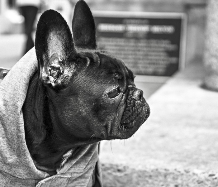 北京1人上公厕致近40人感染新冠病毒/北京1人上公厕致近40人感染新冠 北京1人上公厕致近40人感染新冠病毒/北京1人上公厕致近40人感染新冠