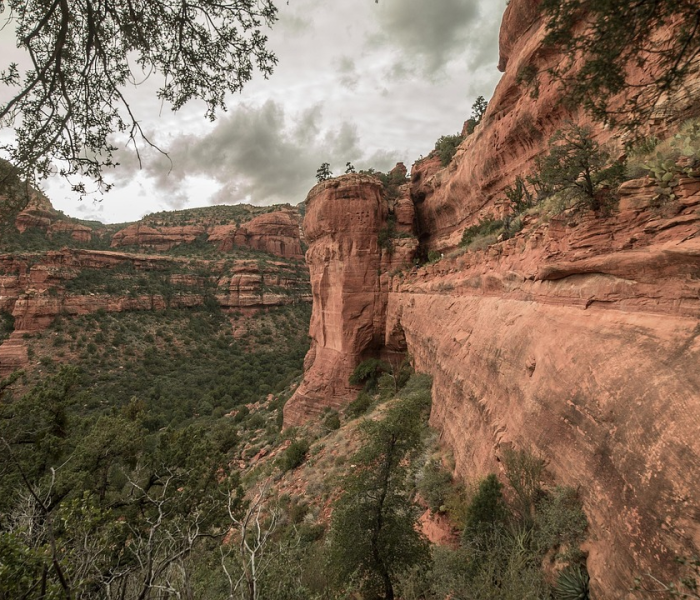 【石家庄疫情源头知乎,石家庄疫情源头找到了】