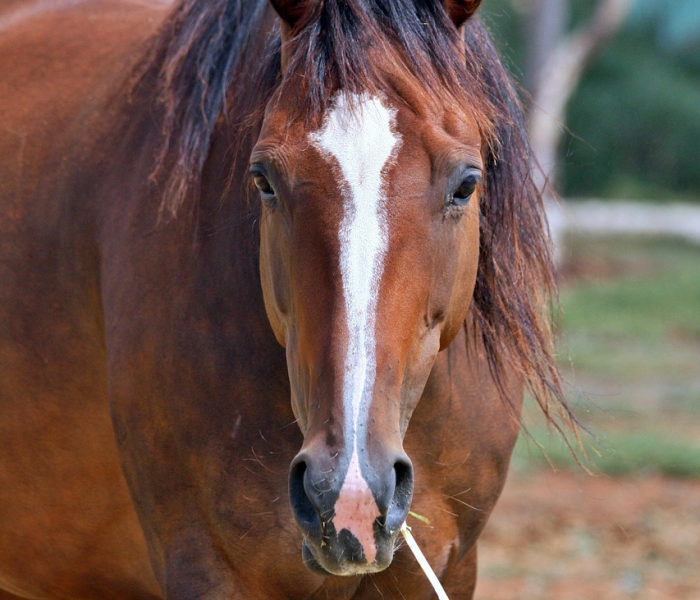 茂名疫情通报（茂名疫情最新动态）
