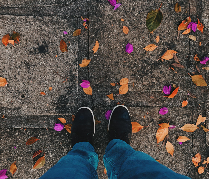 土多/土多用什么来平衡