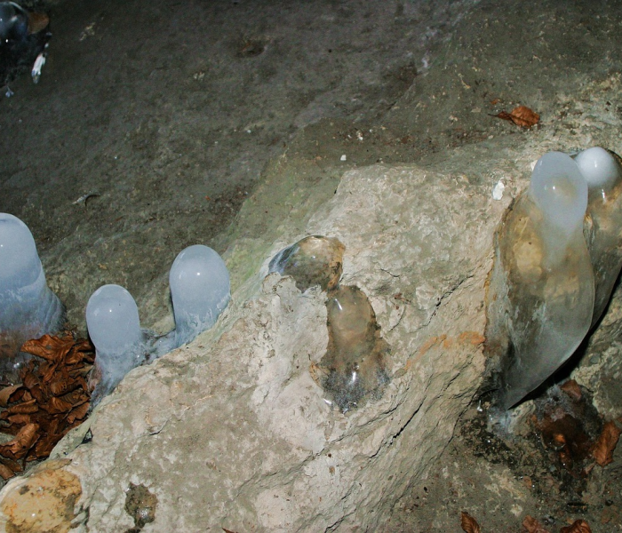 猪肉疫情时期最高的:疫情期间猪肉最贵是多少