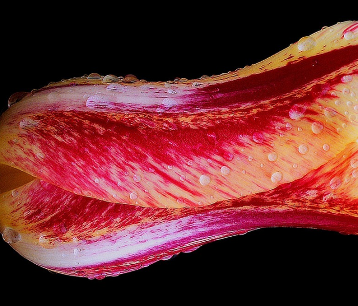 上海有多少人感染了病毒:上海有多少人感染肺炎 上海有多少人感染了病毒:上海有多少人感染肺炎