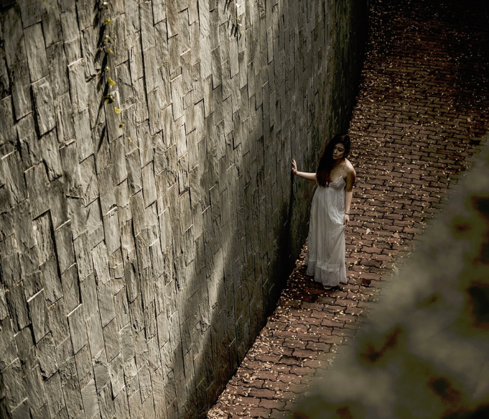 2024会发生什么/2024发生什么空难