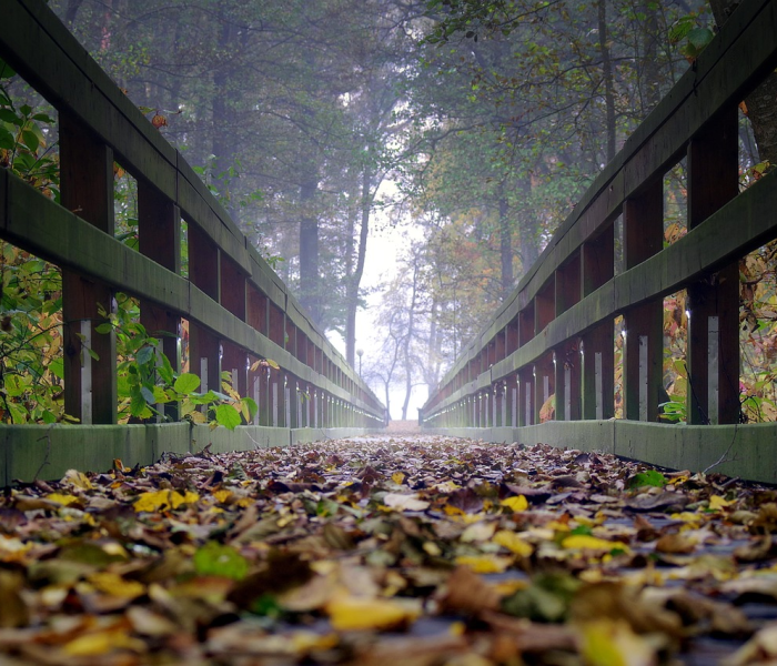 西安1000人被隔离/西安多少人被隔离