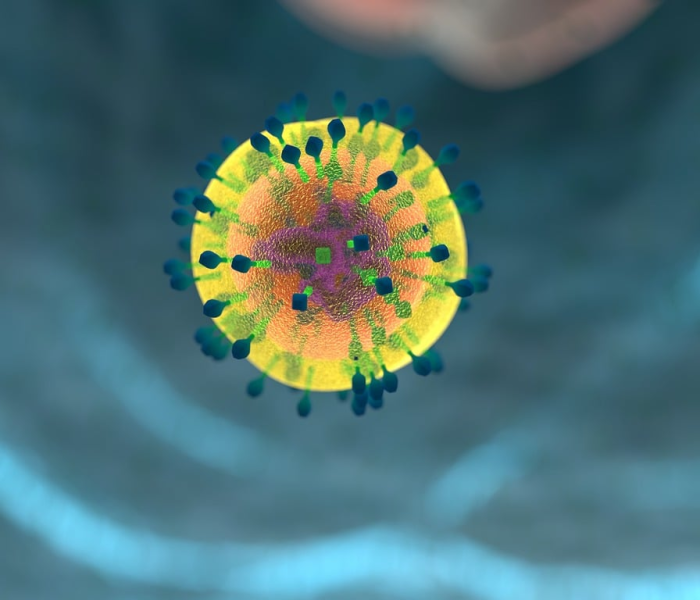 新冠病毒从哪里/新冠病毒从哪里起源的