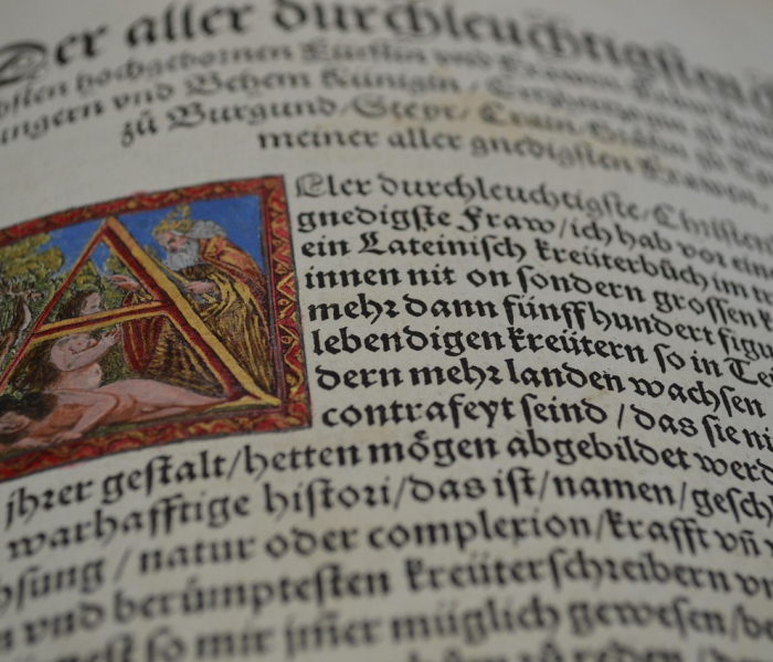 【病字旁加个且读什么字,病字旁加一个且念啥】