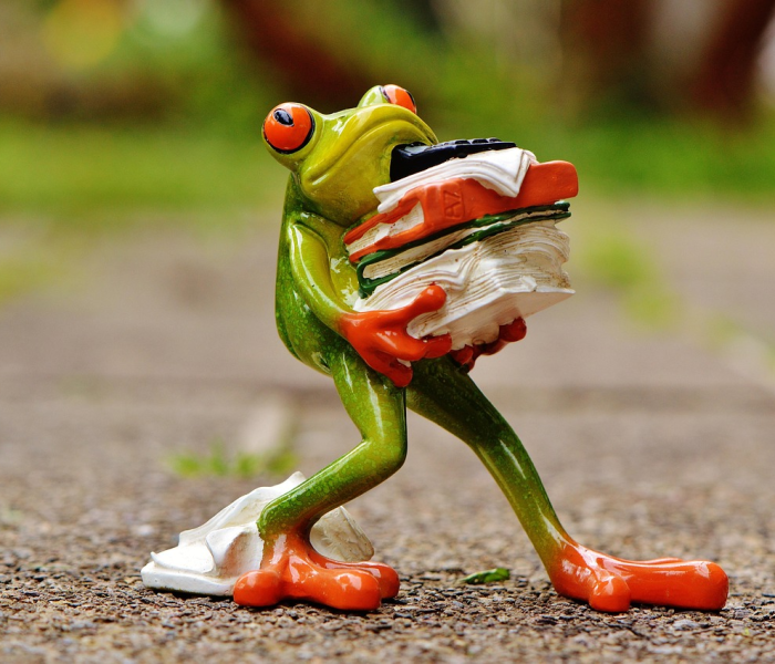 奥比岛梦幻国度第三宫攻略/奥比岛梦幻国度第三宫攻略电脑版