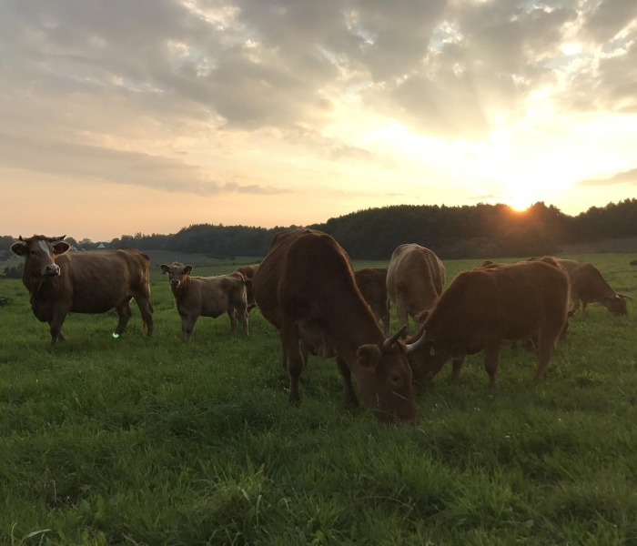 给大家讲解“微信炸 金花链接怎样弄”房卡获取方式 给大家讲解“微信炸 金花链接怎样弄”房卡获取方式