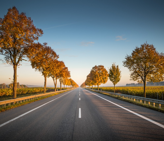 【太原限号查询今天/太原限号查询今天滨河路】