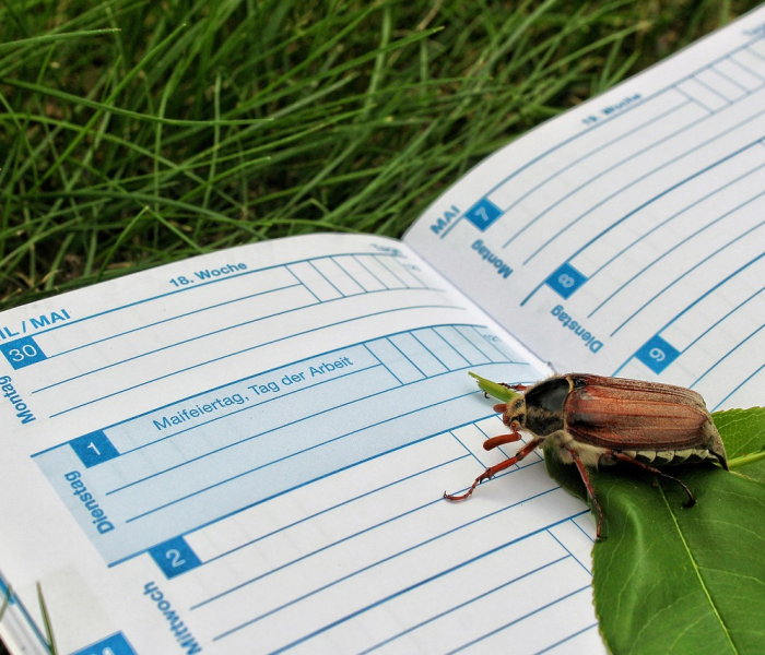 五月1日法定假日是3天吗?(五月1日法定假日是3天吗为什么) 五月1日法定假日是3天吗?(五月1日法定假日是3天吗为什么)