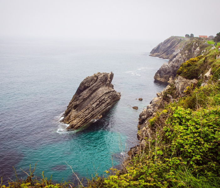 禽流感流感现在最新消息:禽流感的最新消息
