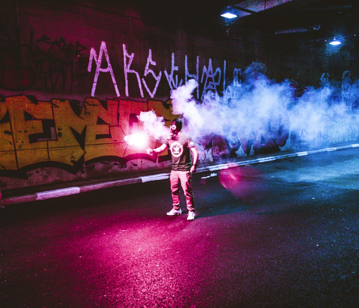 火炬之光2boss宠物/火炬之光2最强宠物