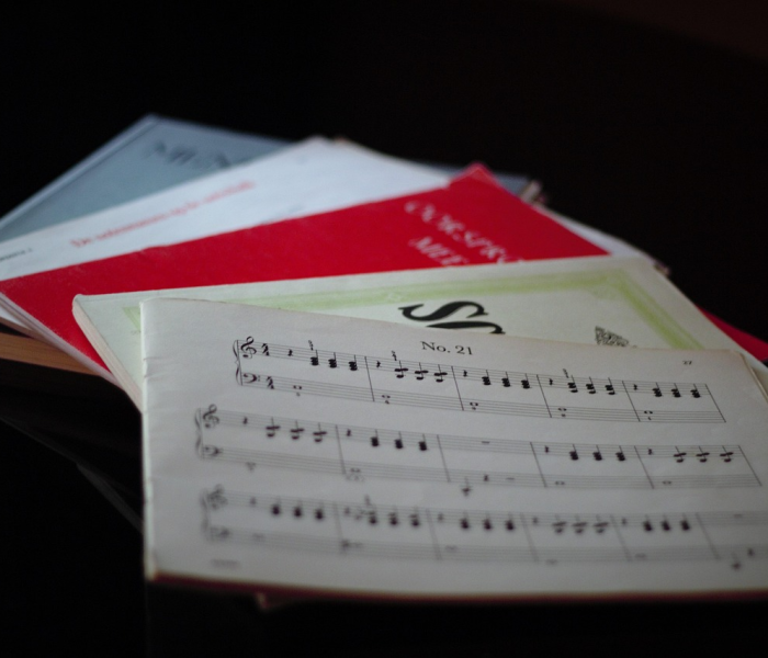 保皇记牌器下载正版/保皇记牌器怎么下载