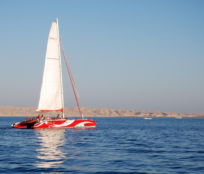 2022年端午节是几月几号放假（2022年端午节放假吗）