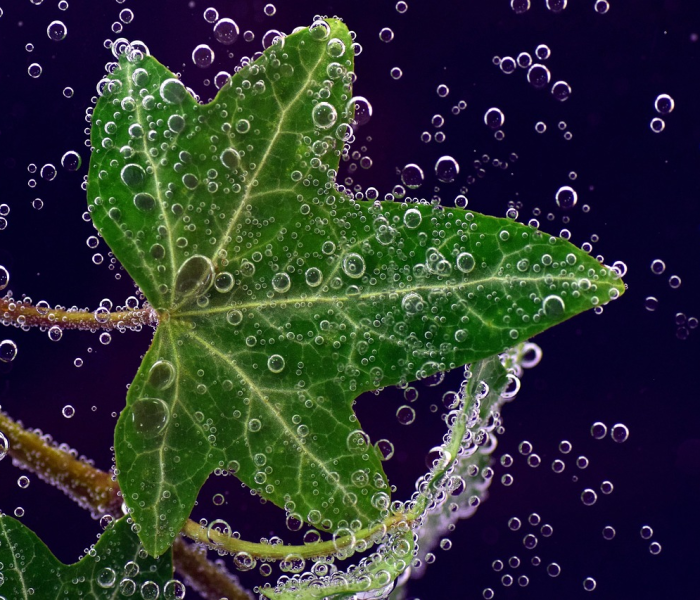 【停止入沪/上海关闭入沪通道】 【停止入沪/上海关闭入沪通道】