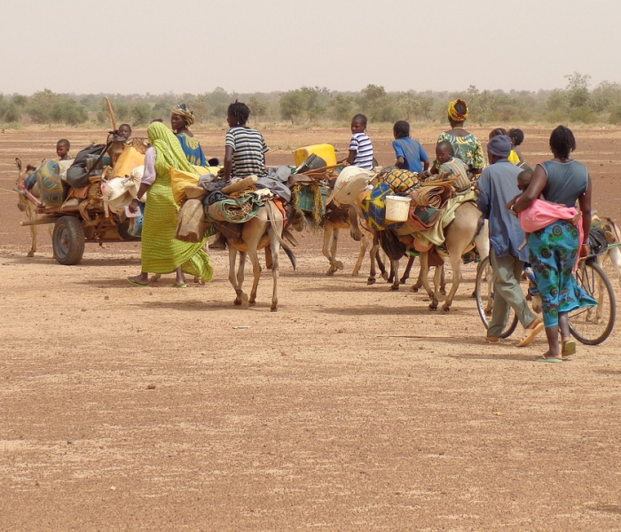 地狱犬病毒在美国追逐士兵/美国 地狱犬 地狱犬病毒在美国追逐士兵/美国 地狱犬