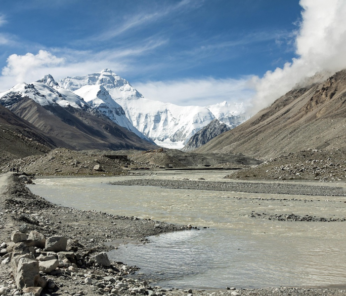 房卡全攻略“微信群椰子乐动大厅链接房卡”详细房卡使用教程