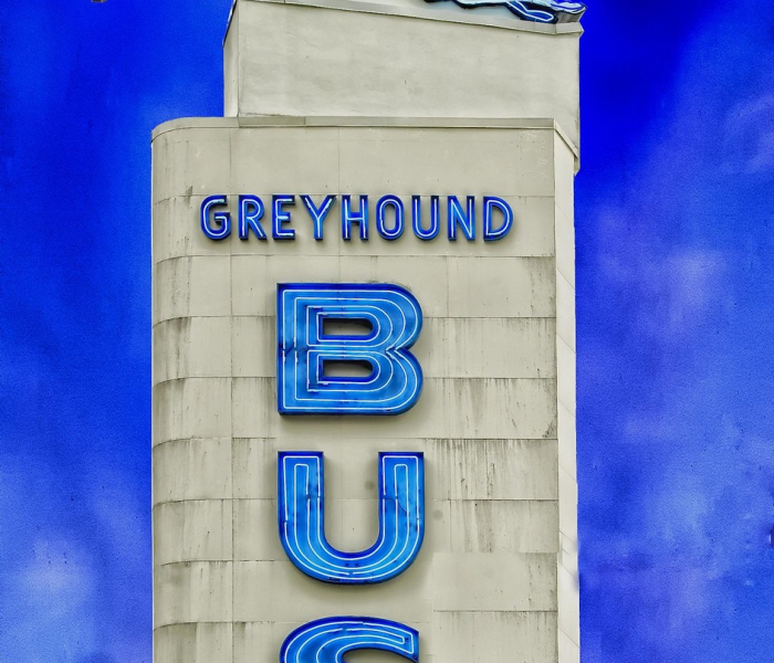 【美国特朗普最新消息新冠阳性,美国特朗普最新报道】