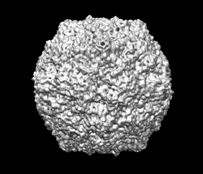1月16号新型冠状病毒感染人数（1月16号新型冠状病毒感染人数是多少）