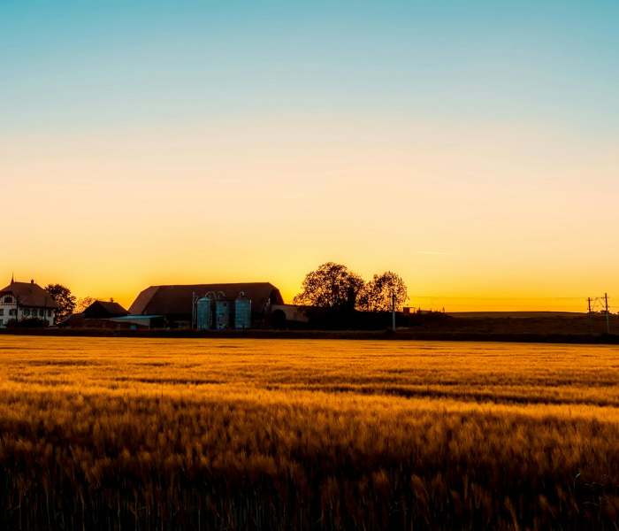 给大家讲解“有没有微信这炸 金花房卡”详细房卡教程