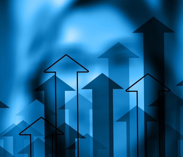 预言:2023年/预言2023年巨星