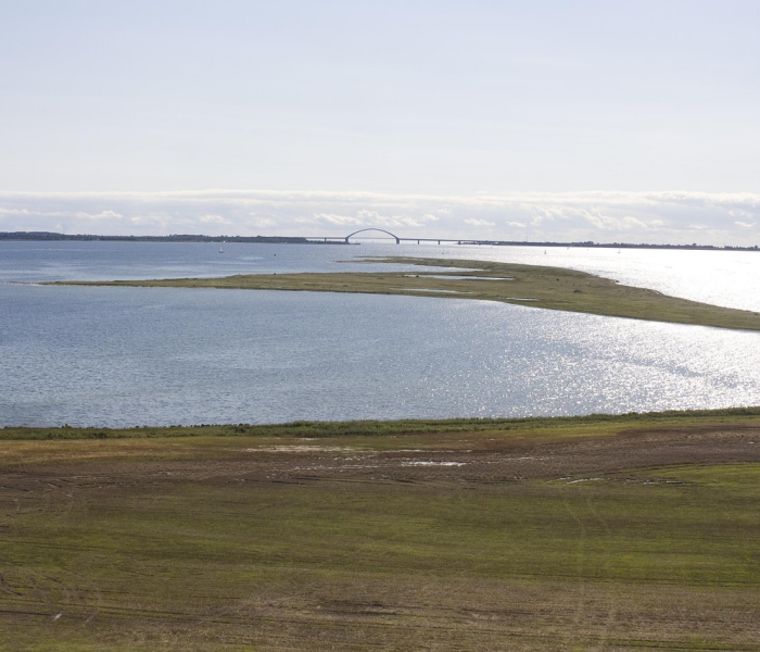 秒懂百科“在哪可以创建炸 金花的房间”房卡获取方式