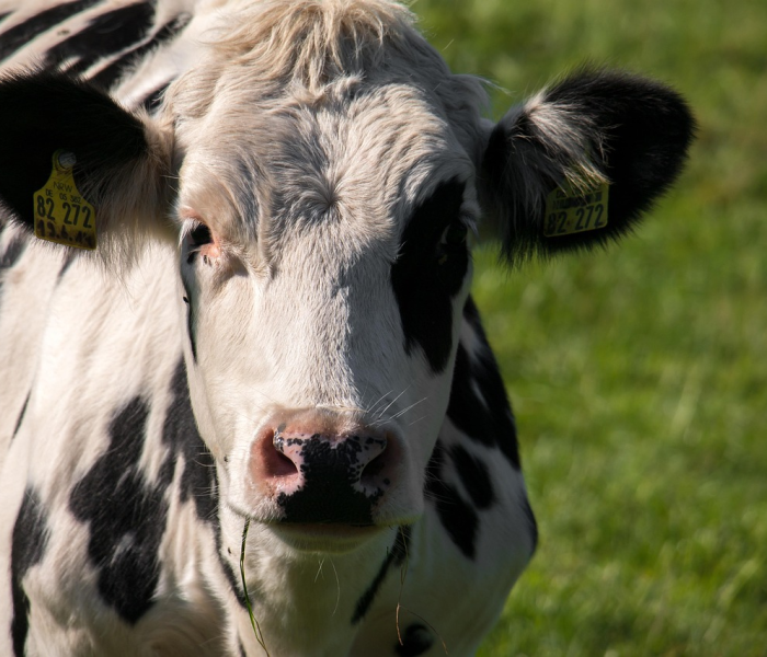 山东潍坊确诊病例/山东潍坊新冠情况