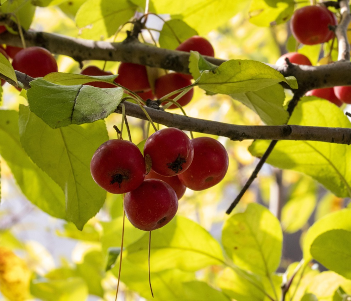 【最新疫情最新动态数据,最新疫情最新通报数据】