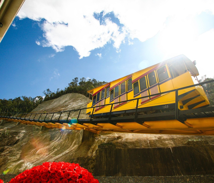 【张家界可以去旅游吗现在/张家界可以去旅游吗现在有疫情吗】