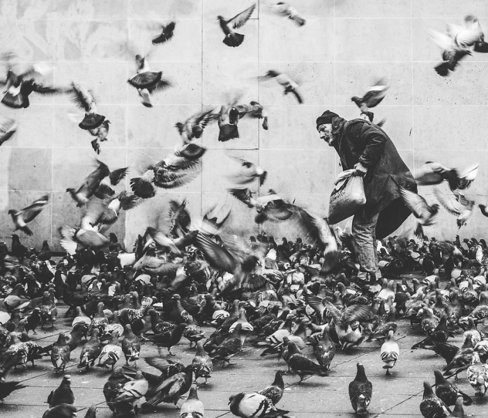 【12月10日上海疫情,12月12日上海疫情】