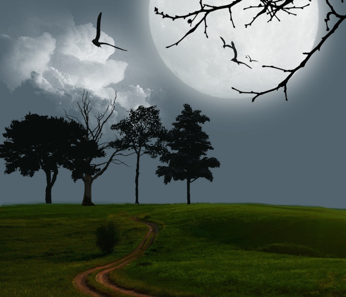 中秋能否正常出行:中秋节能出省么