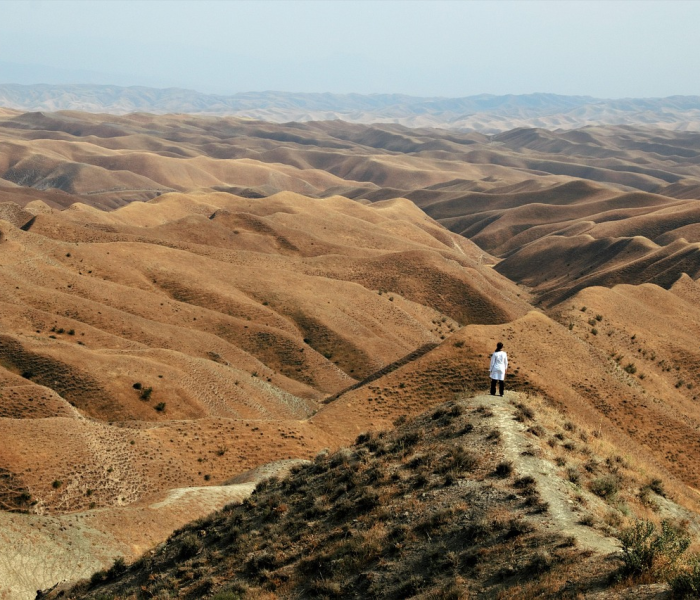 俄乌战局牵动全球神经,地缘政治阴霾下今日大盘何去何从? 俄乌战局牵动全球神经,地缘政治阴霾下今日大盘何去何从?