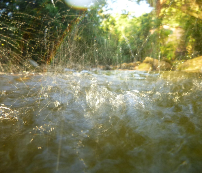 【明年解封,明年解封了可以捕鱼了吗】 【明年解封,明年解封了可以捕鱼了吗】