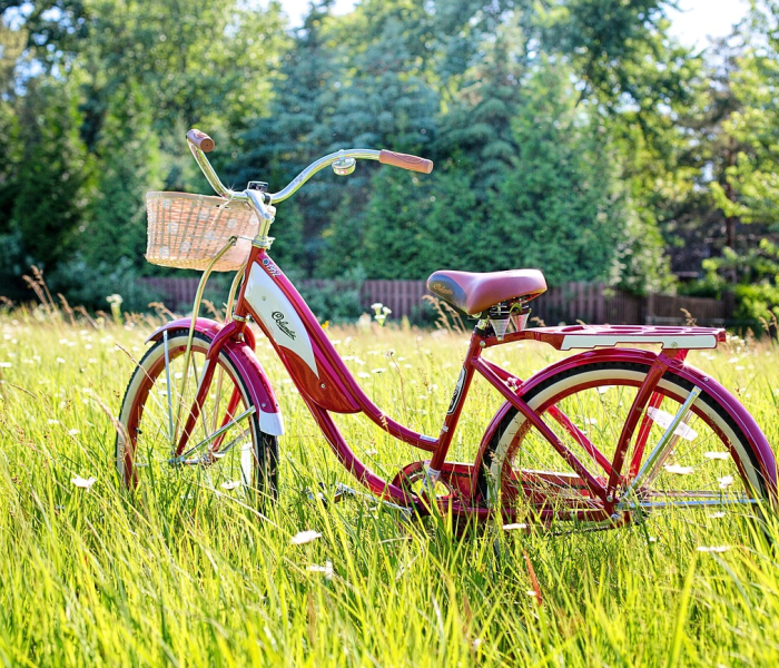 喜德盛性价比最高的山地车/喜德盛高价位的山地车才好