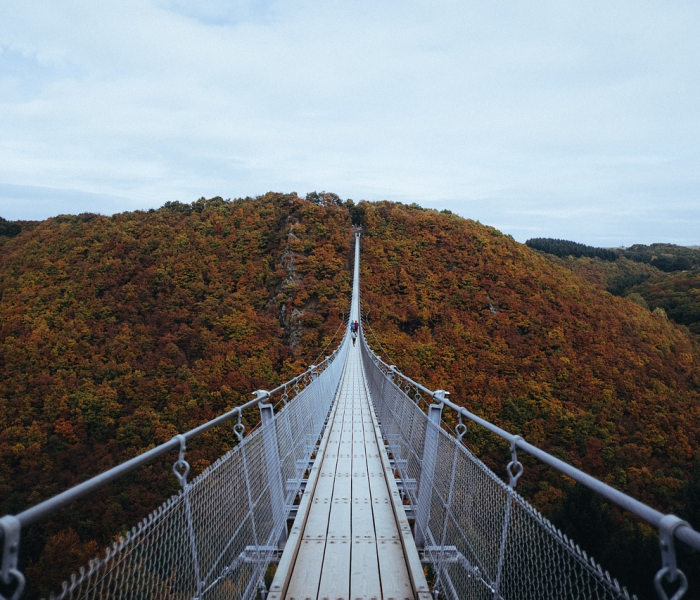 自贡新闻热线求助电话，市民信赖的民生桥梁，全方位服务指南解析