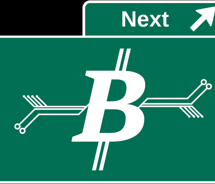 新日电动车 电池价格/新日电动车电池价格表