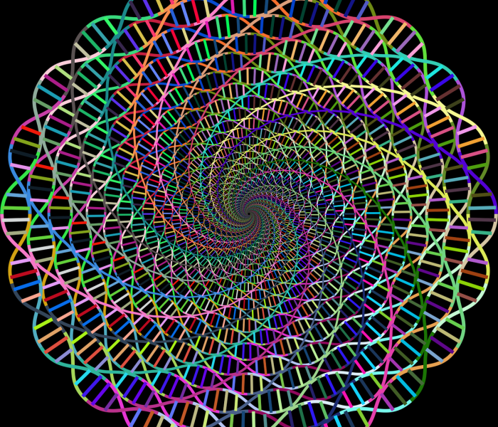 健康码核酸/健康码核酸码