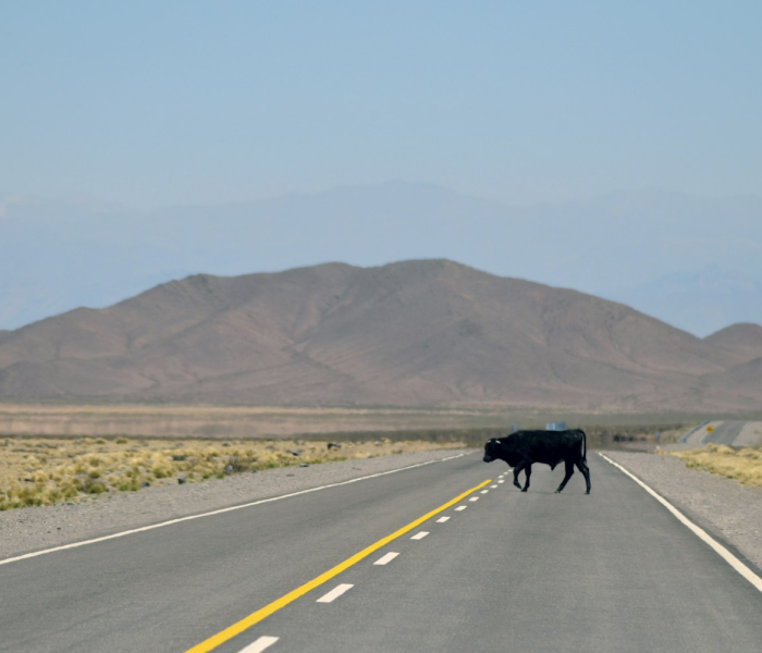 端午高速免费吗高/端午高速公路免费嘛 端午高速免费吗高/端午高速公路免费嘛