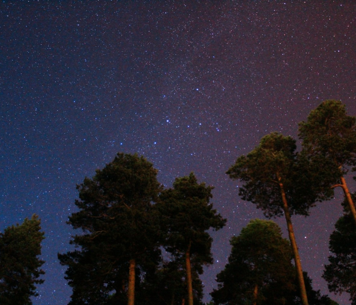 杭州带星的地名(杭州有星星吗) 杭州带星的地名(杭州有星星吗)