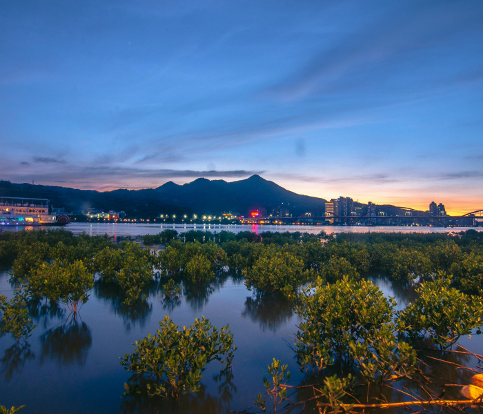 青岛一中在哪/青岛一中很厉害吗