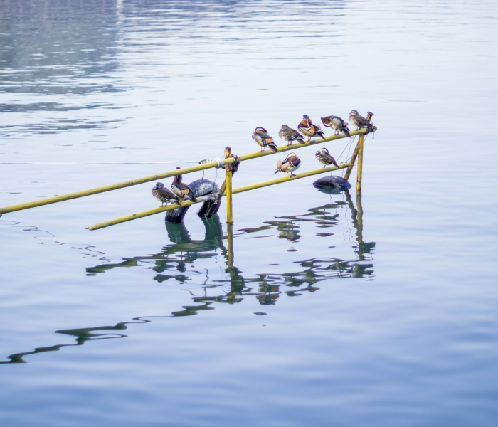 甘肃定西返乡记，黄土坡上的新绿与游子的归途